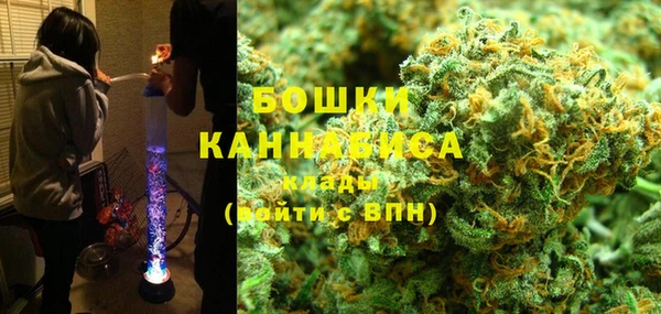 дурь Бородино
