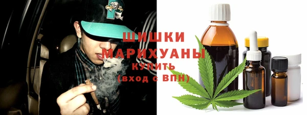ешки Бронницы