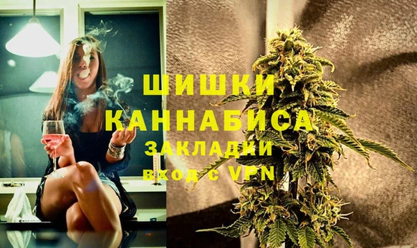 дурь Бородино