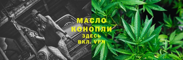 дурь Бородино